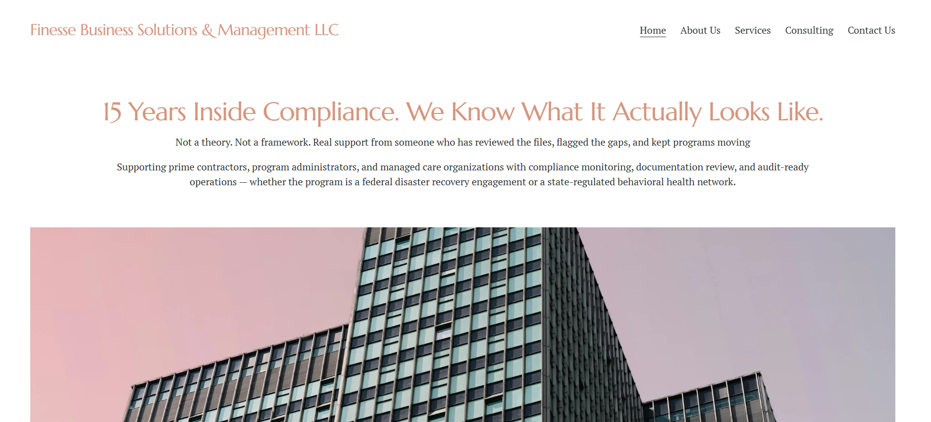 Finesse Business Solutions and Management website screenshot